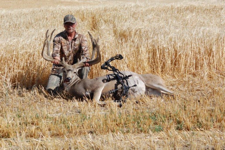 Mule Deer Saskatchewan Wildlife Federation