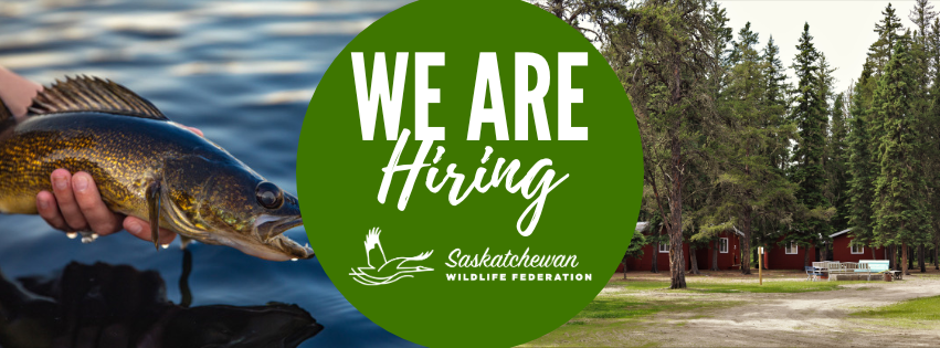 Now Hiring: 2026 Summer Students